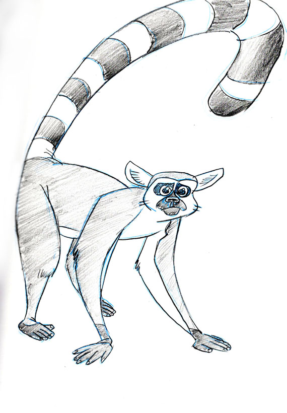 CW Katta Lemur 100