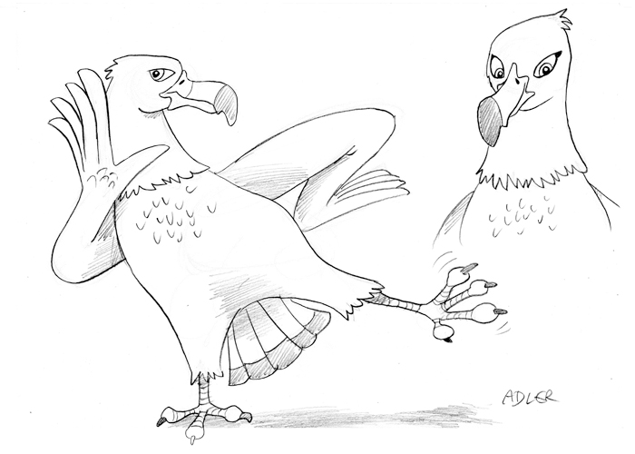 Königsreise Adler 4