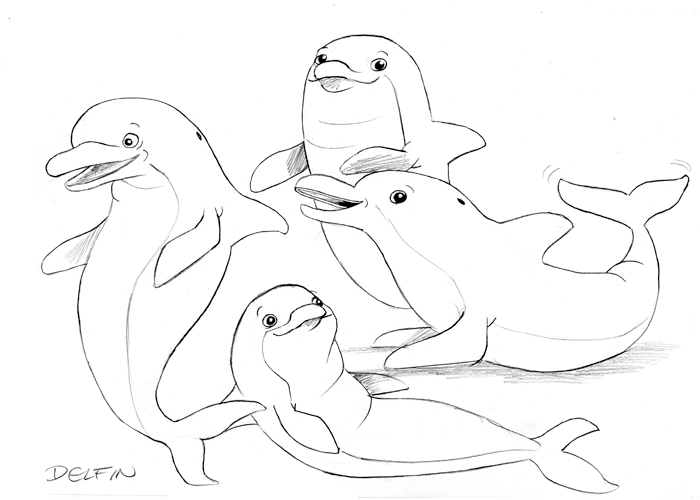 Königsreise Delfine 3