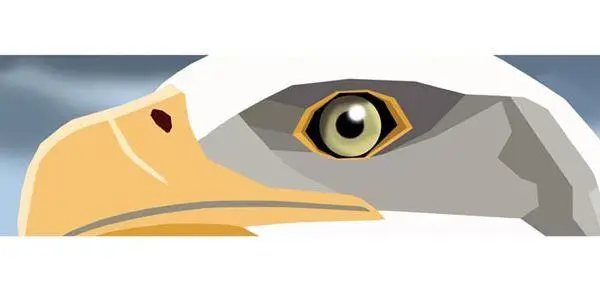 Illustrations:: teaser illustration