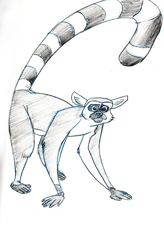 CW Katta Lemur 100
