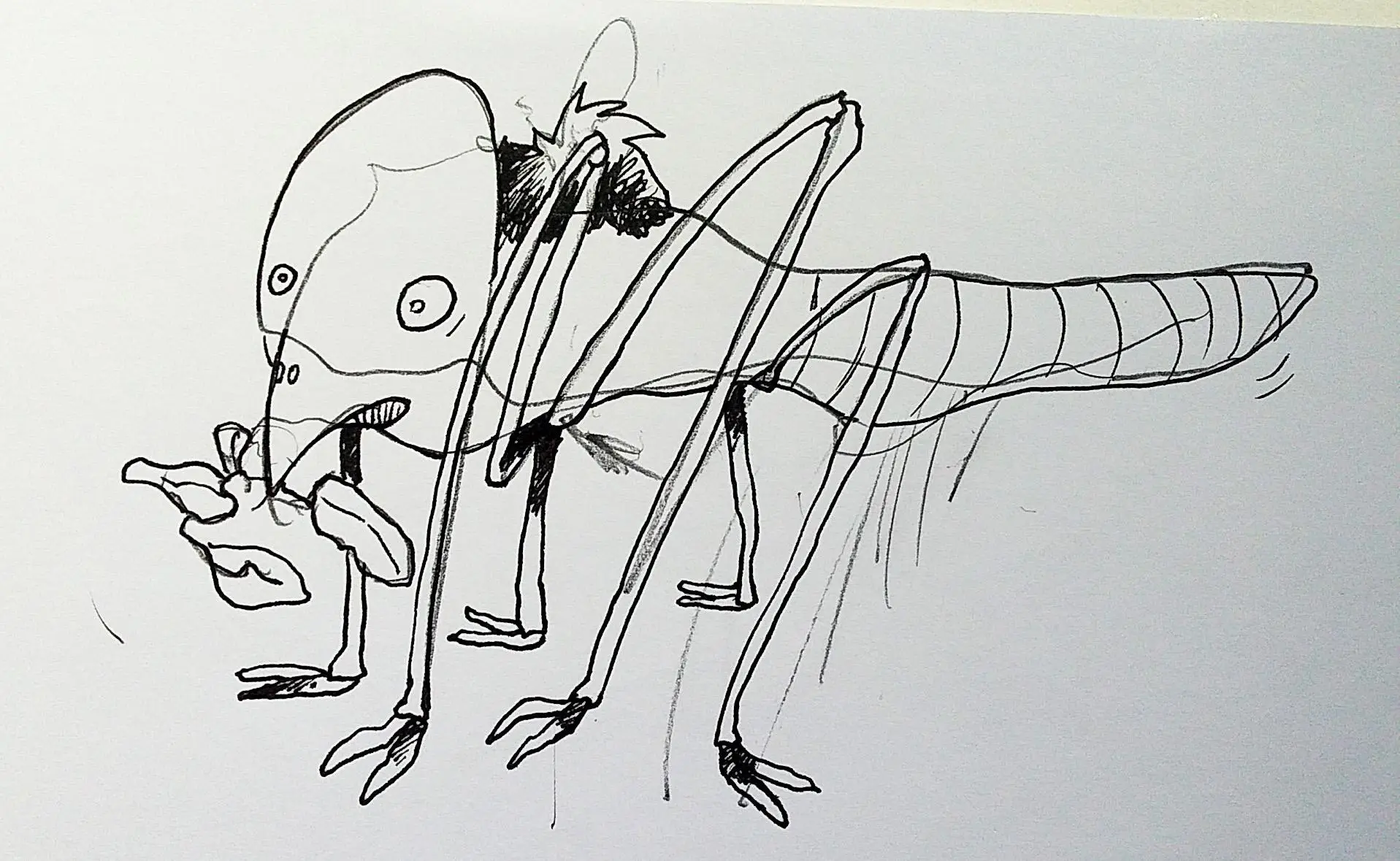 BirdFlyAnt