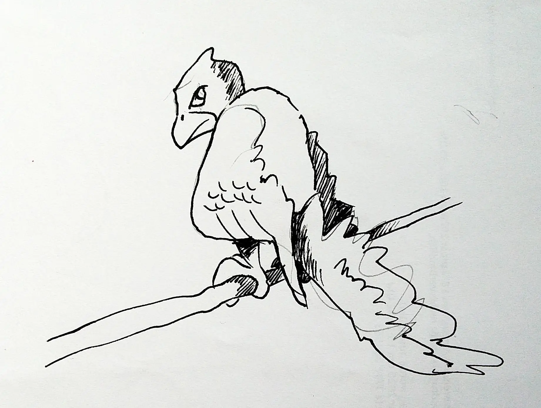 Vogel auf Ast